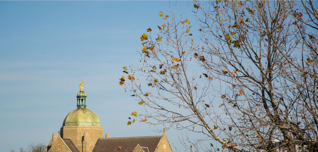 The dome of Lady of Victories Catholic Church in Camberwell, Victoria.