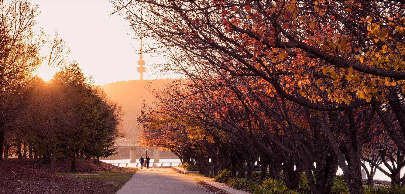 Take a sunset jog along the banks of Canberra’s Lake Burley Griffin.