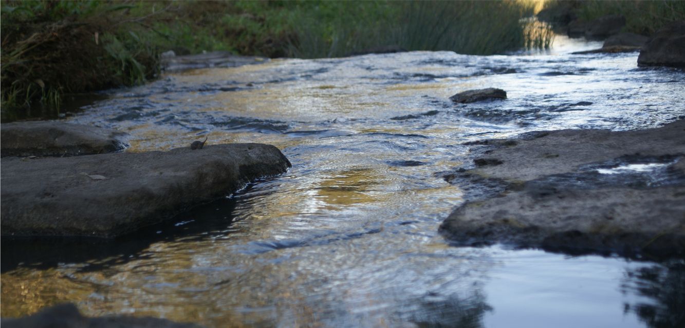 Kororoit Creek near Deer Park, Melbourne.