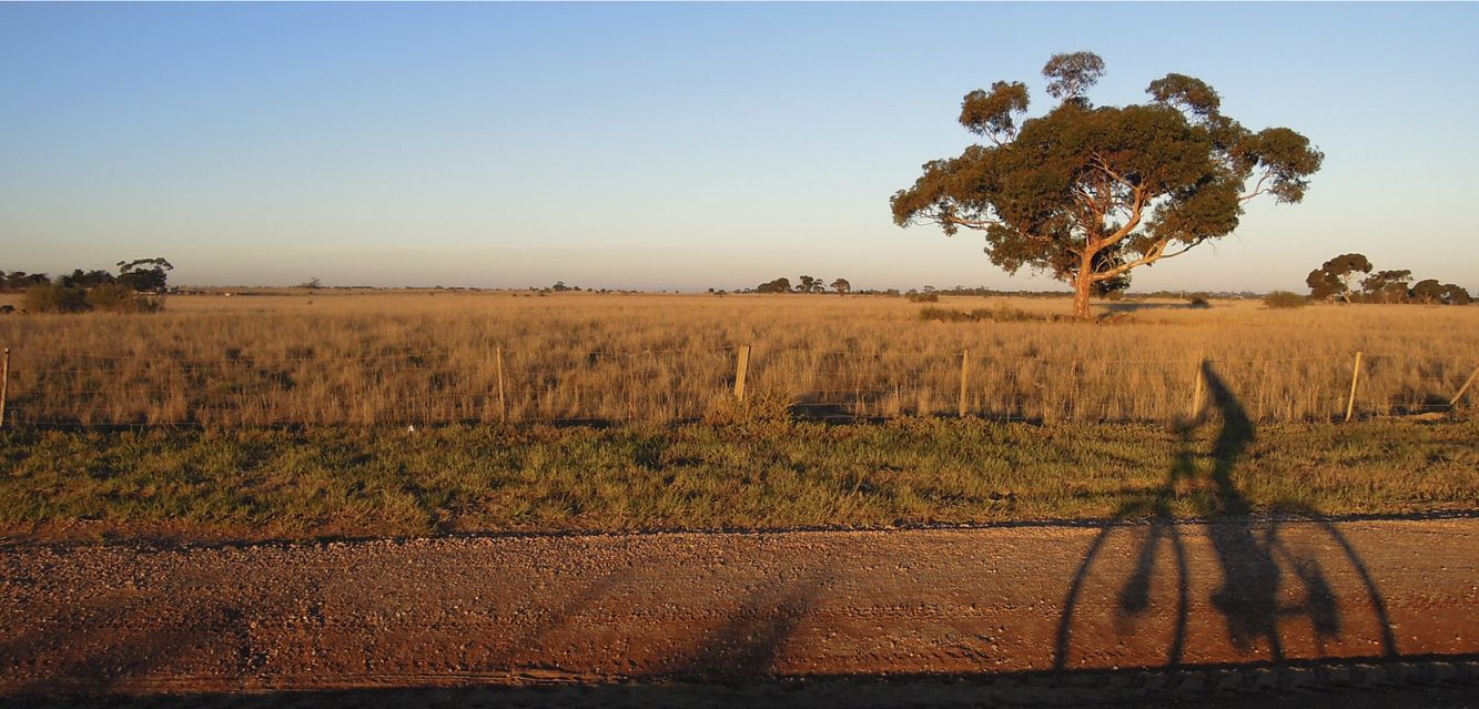 Early morning bicycle ride near Melton, Victoria.