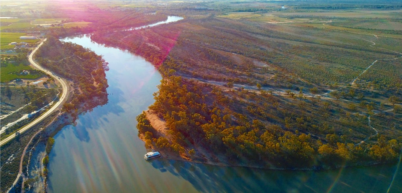 Aerial view of the Murray River near Mildura.