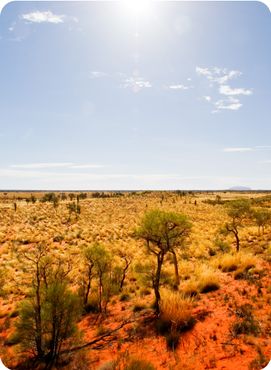 Central Australian Landscape with Uluru in the distance.