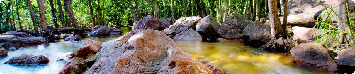 Natural Springs in Litchfield National Park, Australia.