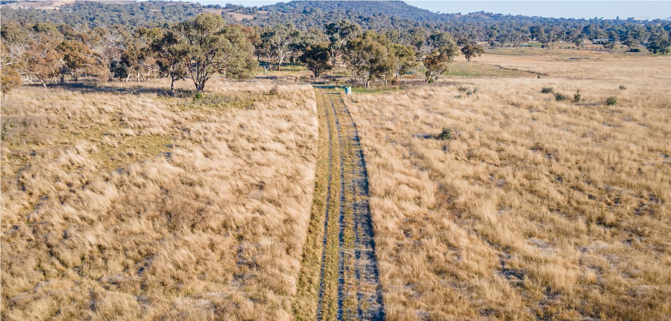 Jerrabomberra West Nature Reserve near Pialligo, ACT.
