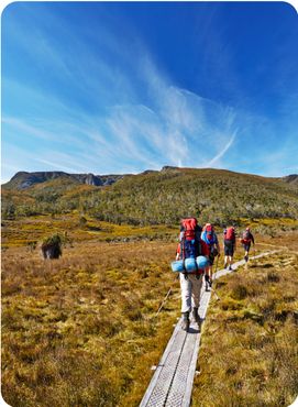 Hikers on an overland trail in Tasmania, Australia.