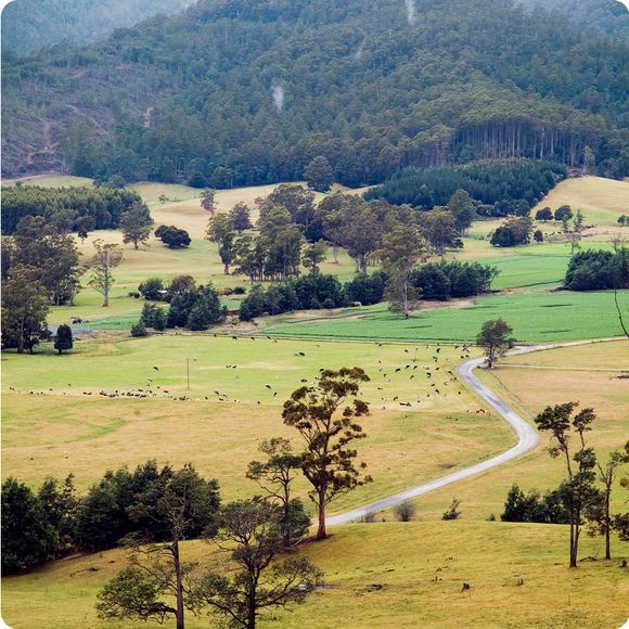 Tasmania farmland with road leading into the mountains.