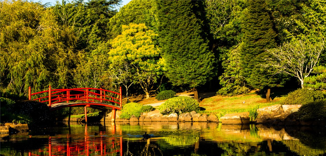 Be sure to allow time for a walk through Toowoomba’s Japanese Gardens.