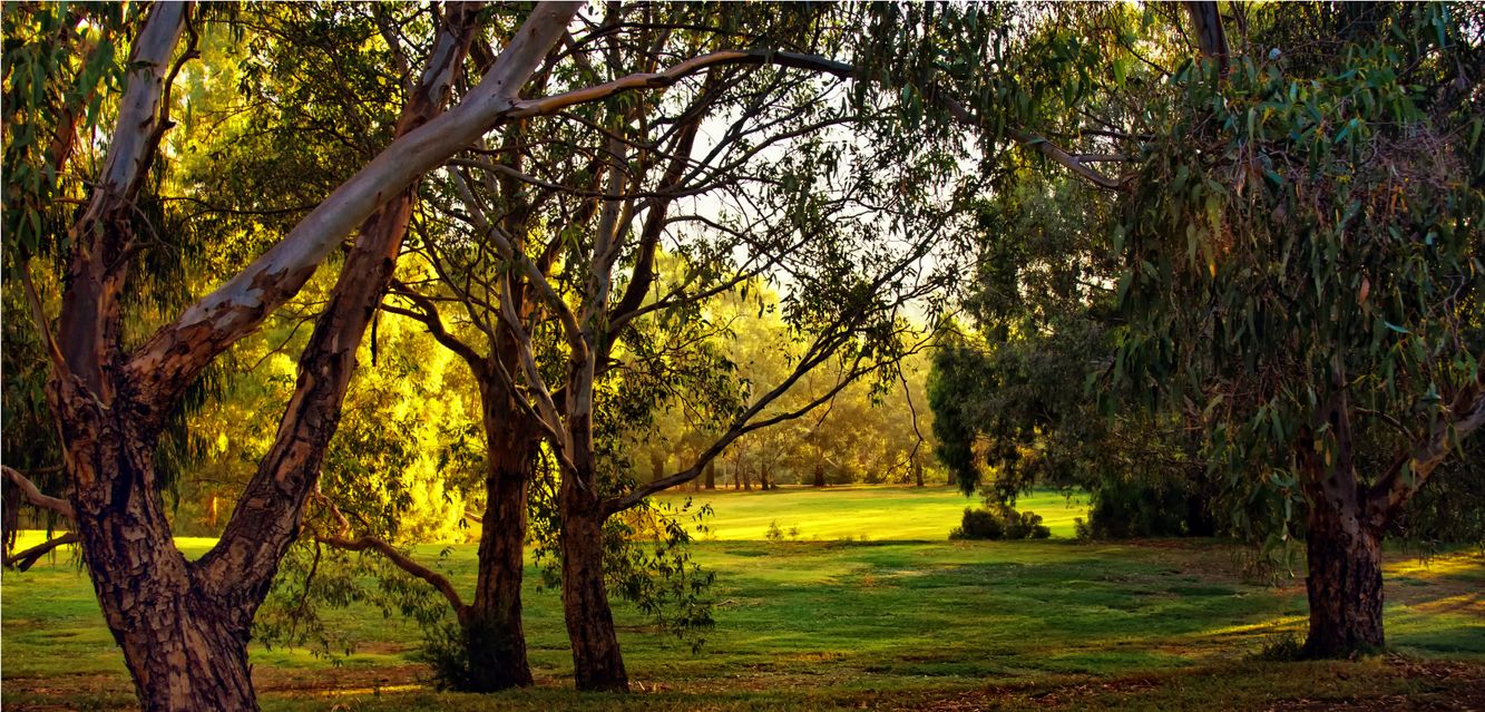 Brimbank Park near Tullamarine.