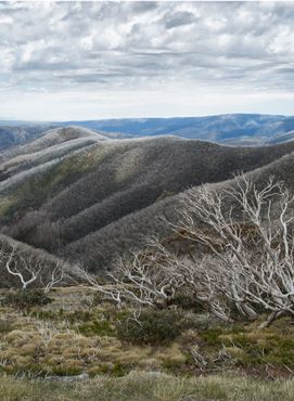 Beautiful view from Mount Hotham on the Great Alpine Road in Victoria, Australia.