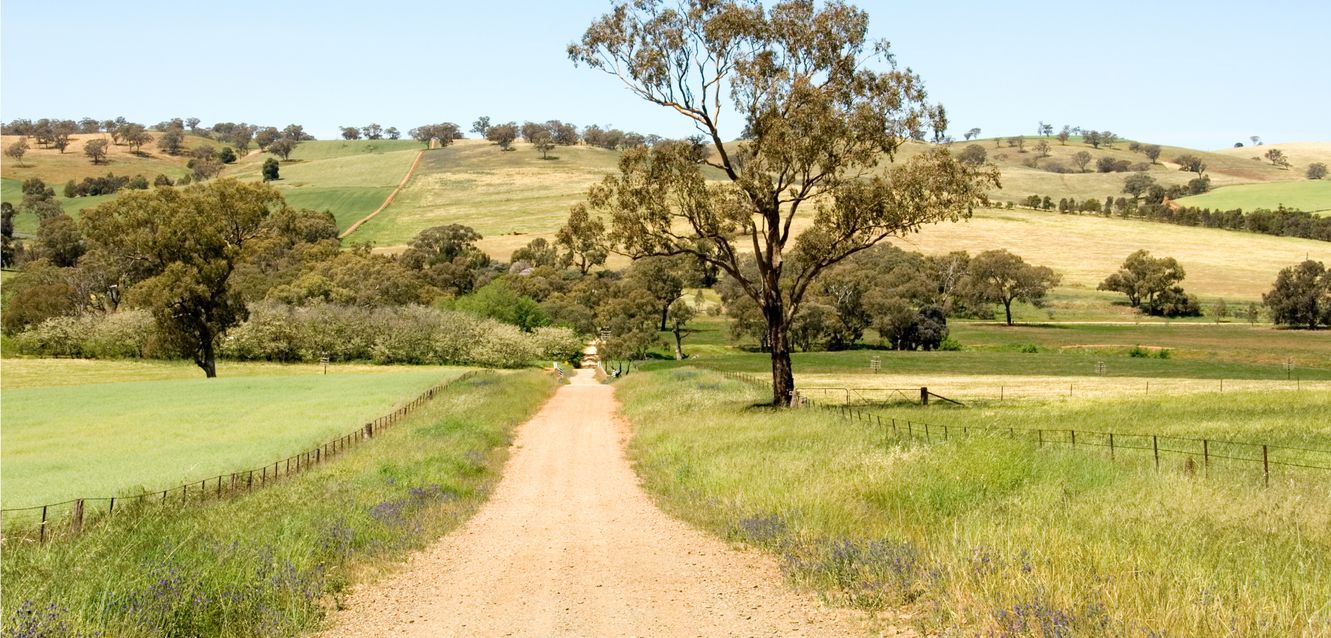 Rural country scenes near Young, New South Wales