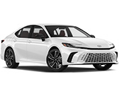 Standard Ute (double cab)