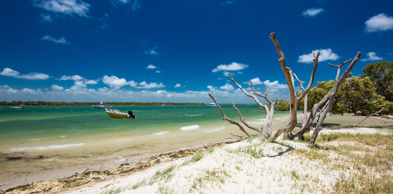 Summer tropical beach scene on Bribie Island.
