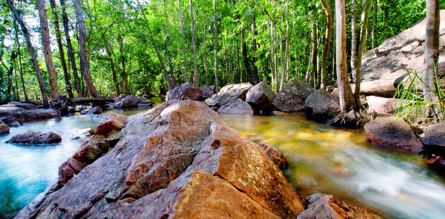 A natural spring in Litchfield National Park, Northern Territory.