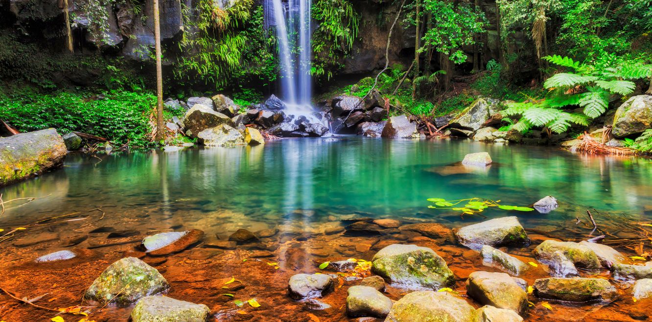 Mt Tamborine Waterfall. 