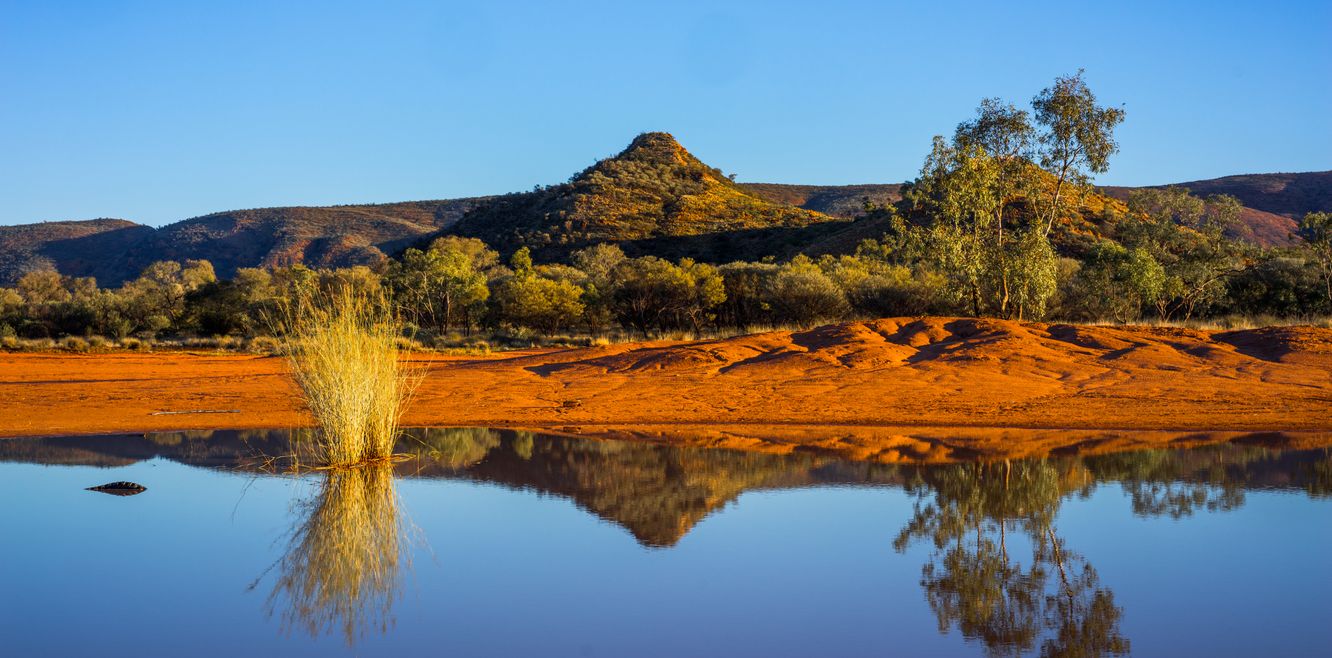 Nowhere does colour like the Top End.