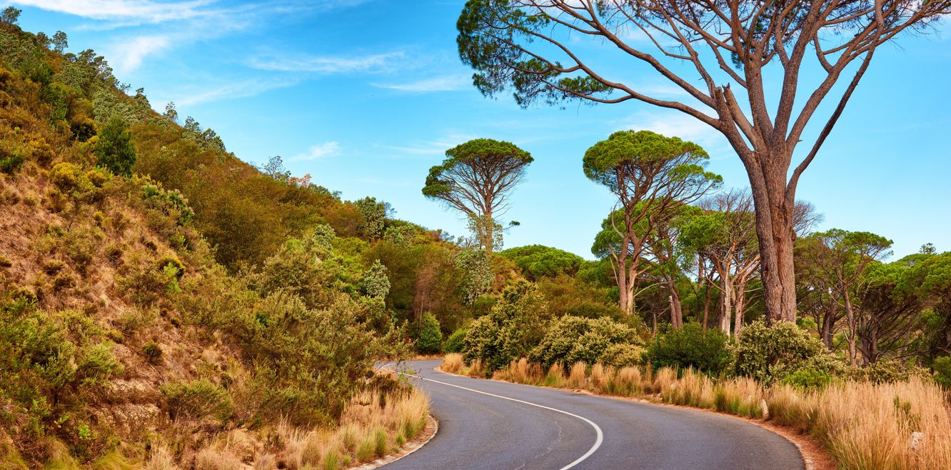 No better way to explore Australia than on a road trip.