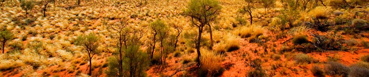 Classic Outback colours.