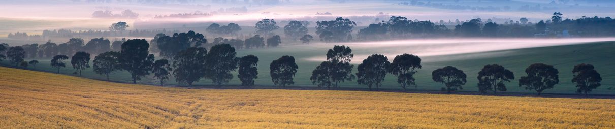 Sunrise in the Clare Valley, South Australia.