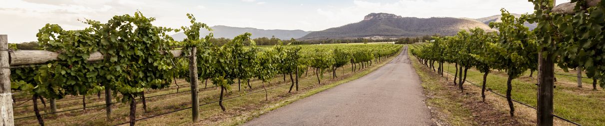 Visit some Hunter Valley vineyards along the way.