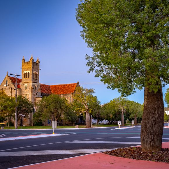 A large bottle tree next to the Saint Paul's Anglican Church in Roma, Queensland.