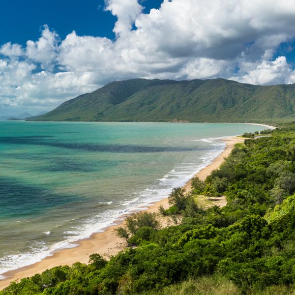 Next stop after Cairns? The Daintree!