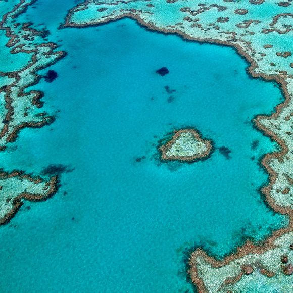 There really is a Heart Island in the Whitsundays.