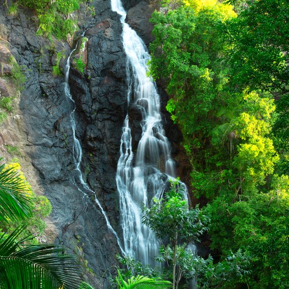 Waterfall near Montville in the Sunshine Coast hinterlands.
