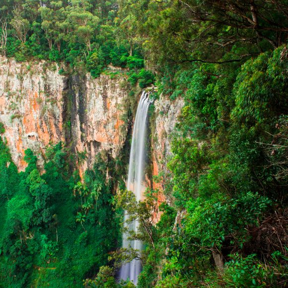 The stunning Purling Brook Falls within Springbrook National Park.