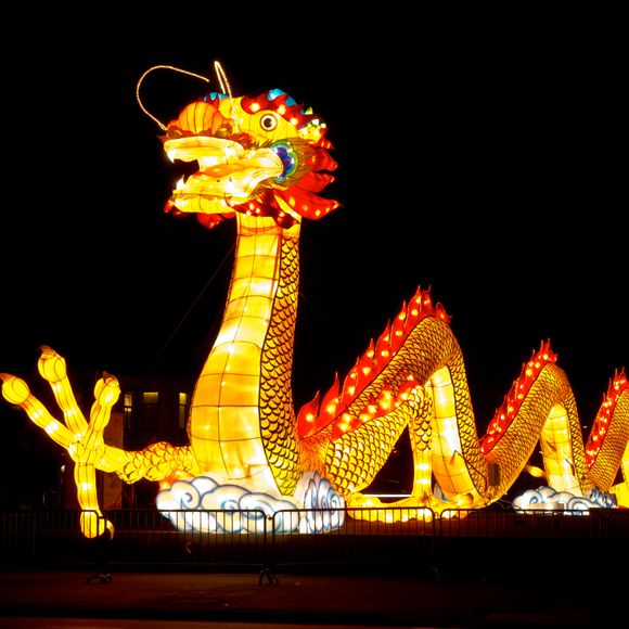 A giant dragon lantern at China Light Festival.