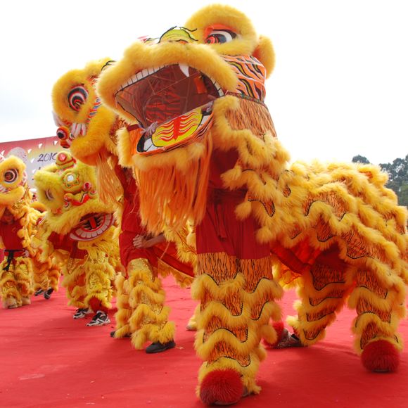 Chinese lion dance celebrating Lunar New Year.