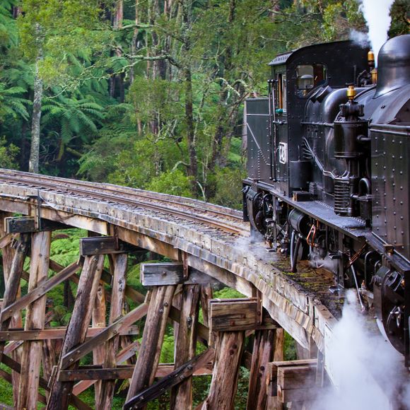 Take a ride on Puffing Billy.