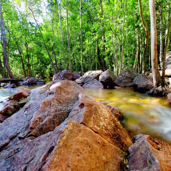 Natural Springs in Litchfield National Park.