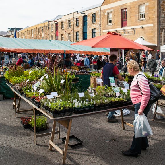 Salamanca Market in Hobart