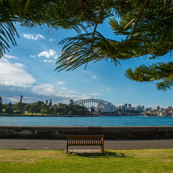 View from the Botanic Gardens towards the Sydney Opera House.