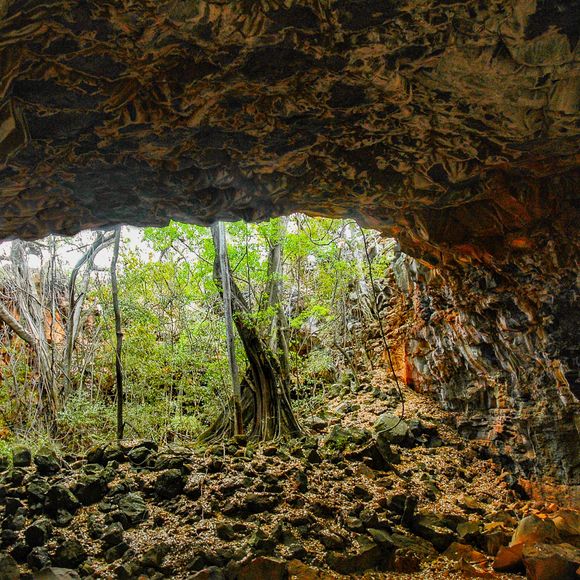 The entrance to Arch Larva Tube in the Undara Volcanic National Park.