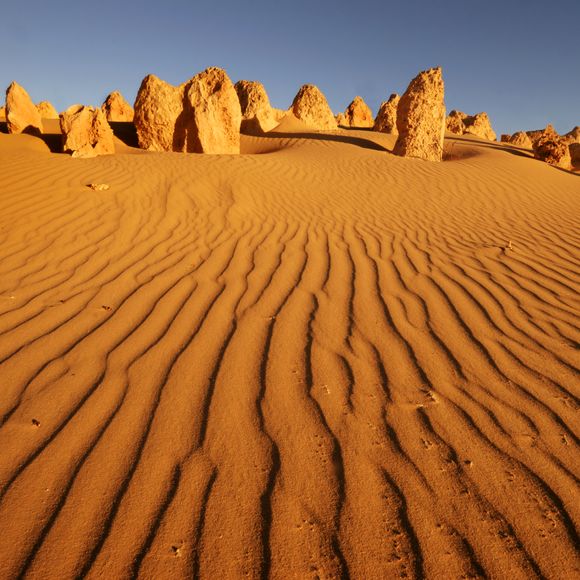 Pinnacles desert in Western Australia seen at sunset.