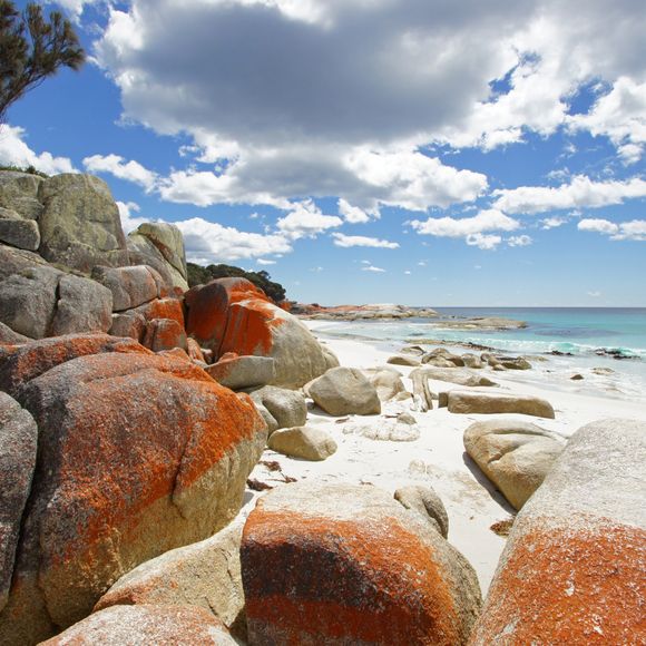 Bay of Fires, one of the most beautiful beaches of the world.