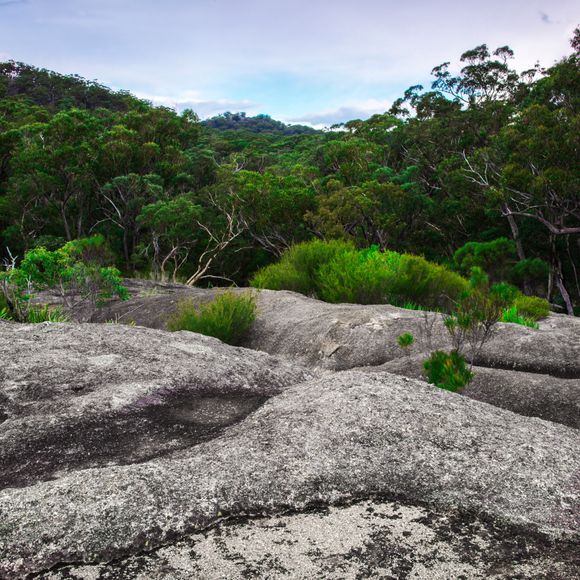 Enjoy the views at Girraween National Park.