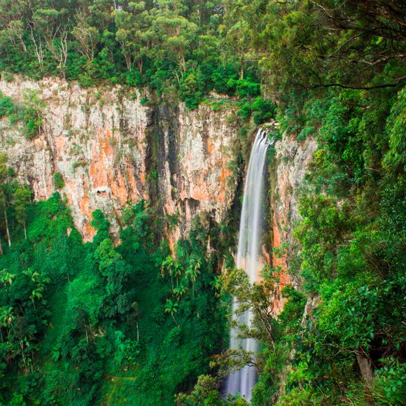 Purling brook Falls at Springbrook National Park in Queensland.