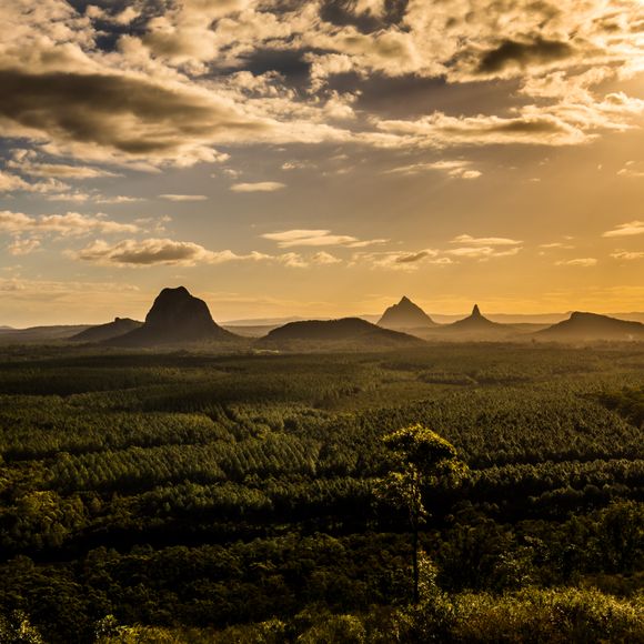 View of Glass House Mountains at sunset visible from Wild Horse Mountain Lookout.