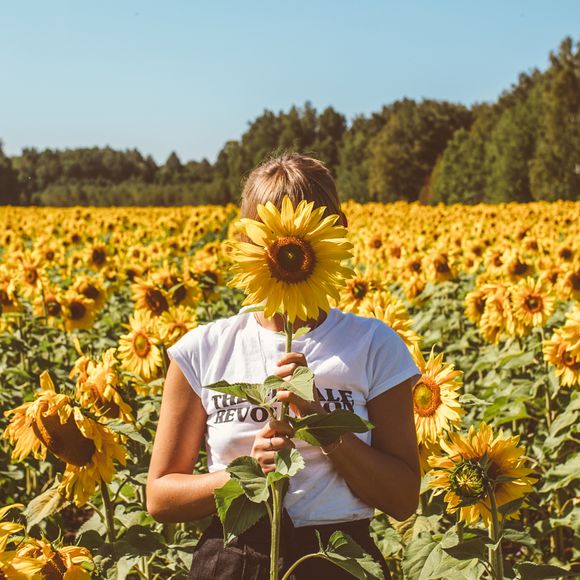No shortage of photogenic moments in Queensland’s sunflower fields.