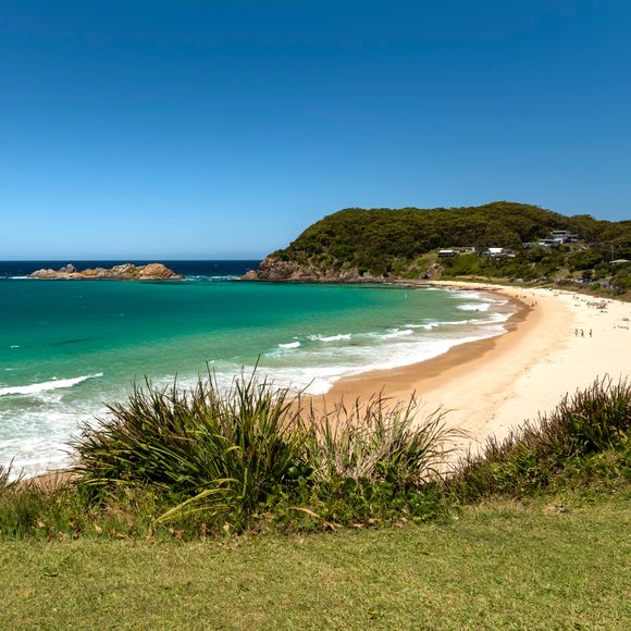 Tropical scenes at Seal Rocks.