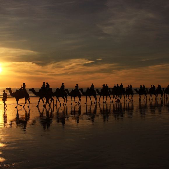 An unforgettable camel ride on Cable Beach.