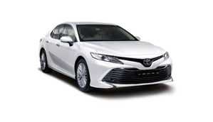 Standard/Full size Cars