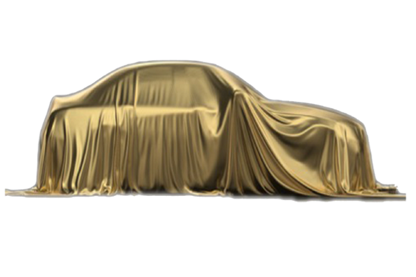 Mystery Car - Petrol/Diesel/EV or similar